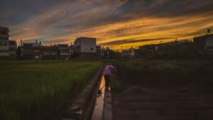 台灣鄉村景緻 | Countryside in Taiwan (Courtesy of @u/czapcze/Reddit)