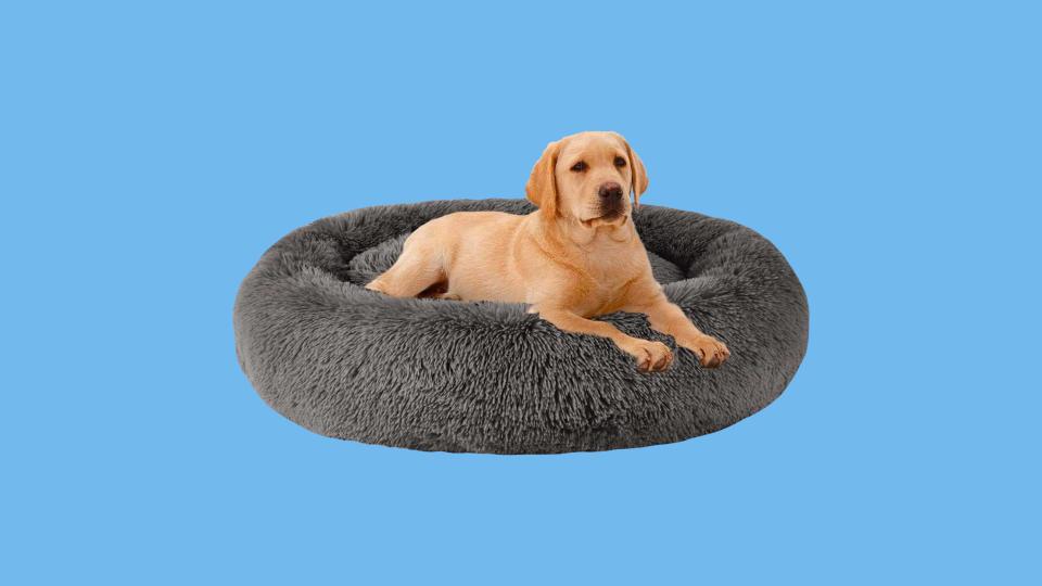 The MFOX Calming Dog Bed is on sale at Amazon for National Pet Day.