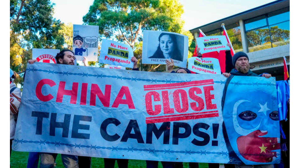2024年6月16日，中國總理李強訪問澳洲阿德雷德動物園並宣布提供貓熊，維吾爾人與港人團體到場抗議，香港前立法會議員許智峯舉起標語「人權重於貓熊」。路透社