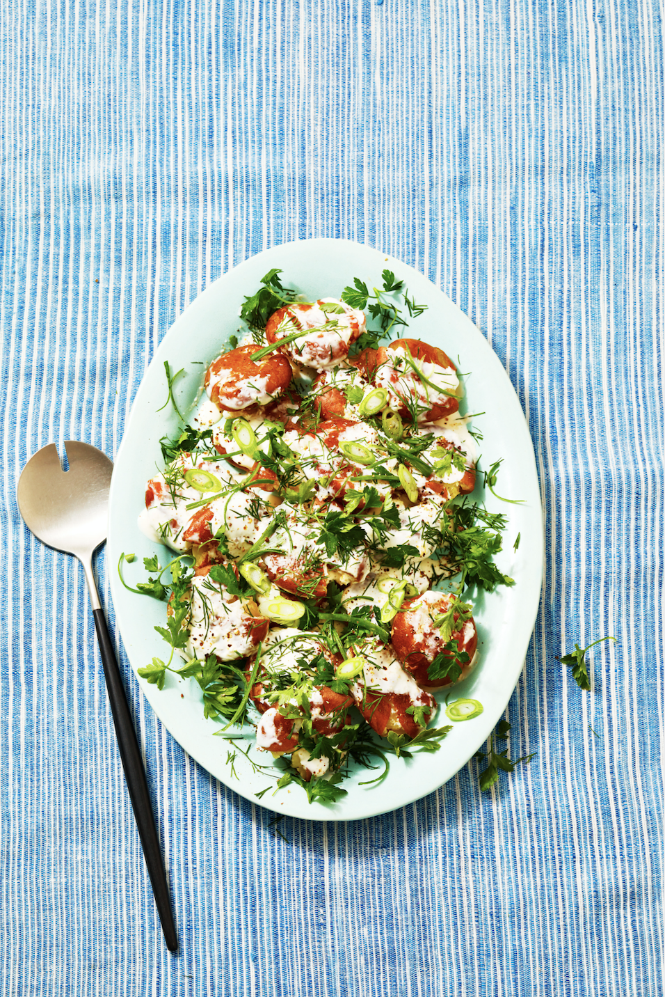 <p>You can't beat a classic, but you can elevate it! Potato salad gets a glow-up in this recipe with fresh dill, parsley, scallions and an irresistible dressing. </p><p>Get the <strong><a href="https://www.goodhousekeeping.com/food-recipes/a36701641/red-potato-salad-recipe/" rel="nofollow noopener" target="_blank" data-ylk="slk:Herby Red Potato Salad recipe;elm:context_link;itc:0;sec:content-canvas" class="link ">Herby Red Potato Salad recipe</a></strong>. </p><p><strong>RELATED:</strong> <a href="https://www.goodhousekeeping.com/food-recipes/g413/great-grilling-recipes/" rel="nofollow noopener" target="_blank" data-ylk="slk:70 Insanely Delicious Grilling Recipes to Try ASAP;elm:context_link;itc:0;sec:content-canvas" class="link ">70 Insanely Delicious Grilling Recipes to Try ASAP</a></p>