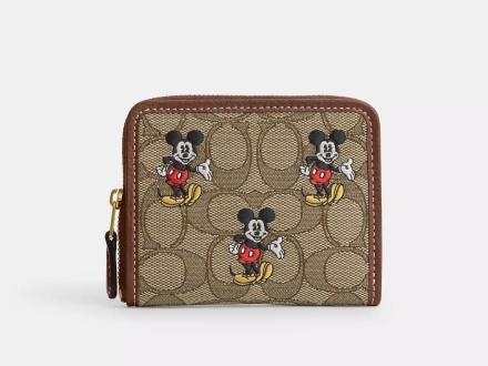 Coach Outlet dropped the cutest Disney collection — and it's