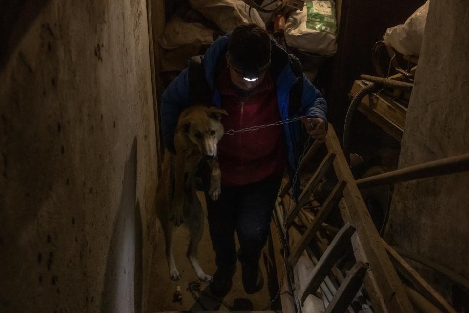 Olena carries one of her dogs out of a basement ahead of their evacuation (AFP via Getty Images)