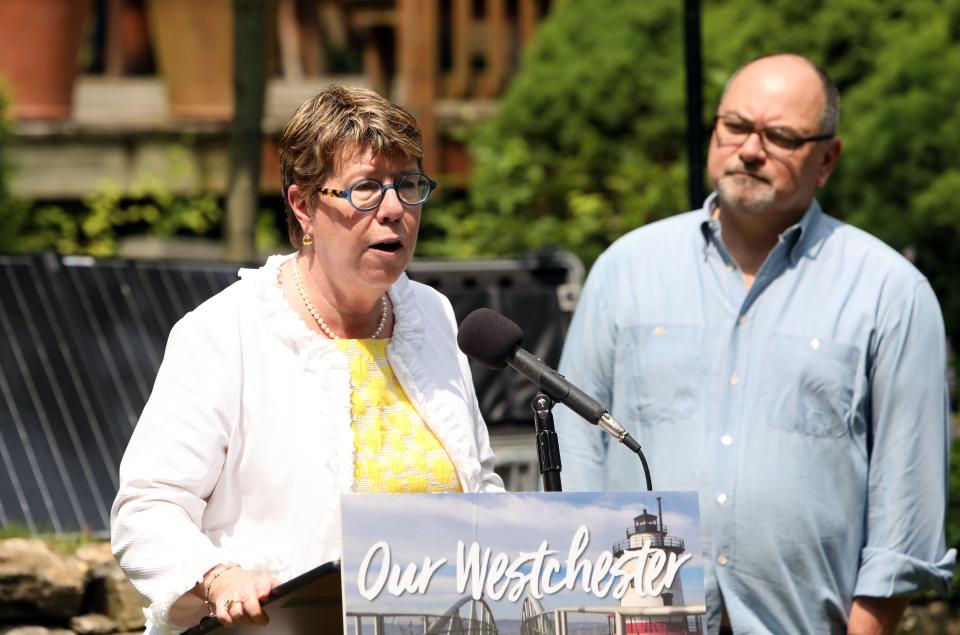 County Director of Operations Joan McDonald discusses a new study of noise from airplanes as homeowner Jeffrey Kuduk looks on June 5, 2019 in Chappaqua.