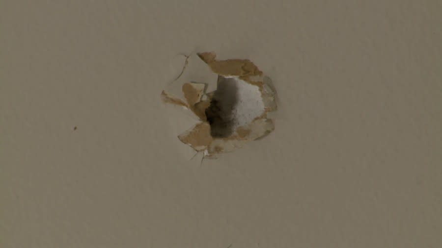 A bullet hole in Erica Pelton's Georgetown Township home, which was hit on March 5, 2024.