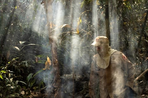 The Amazon has been hit hard by forest fires - Credit: JOEDSON ALVES/EPA-EFE/REX