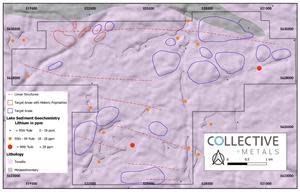 Property Map of Whitemud Lake Showing Selected Target Areas for Field Exploration.