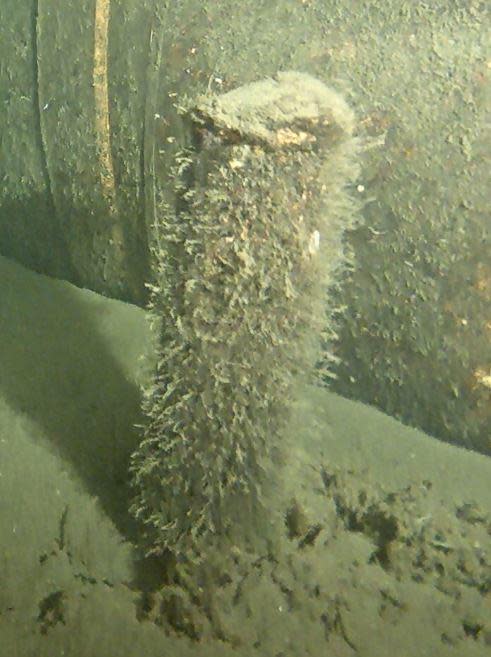 An image released on March 23, 2023 by the Danish Energy Agency shows an unknown object on the seafloor next to the Nord Stream 2 gas pipeline, near the location of a sabotage attack in September of the previous year.  / Credit: Danish Energy Agency