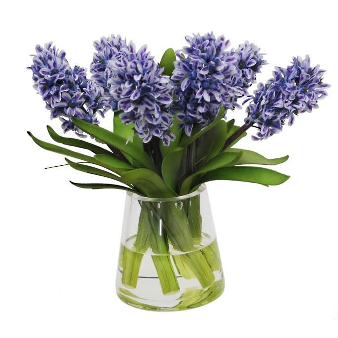 Blue Hyacinth in Glass