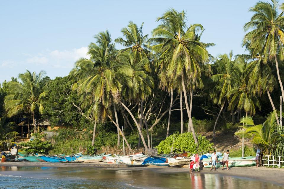 <p>'This surf town on Sri Lanka’s east coast... has managed to retain its cool as holidaymakers swarm the rest of the country’s ancient citadels and hiker-strewn hill stations. Barefooted boarders sprawl outside vegan cafes... but if the turquoise swells can’t tug you in, Arugam has grown its onland offering with... beachside bars and makeshift music festivals; plus a handy proximity to Kumana National Park, home to leopards, elephants and crocodiles.'</p>