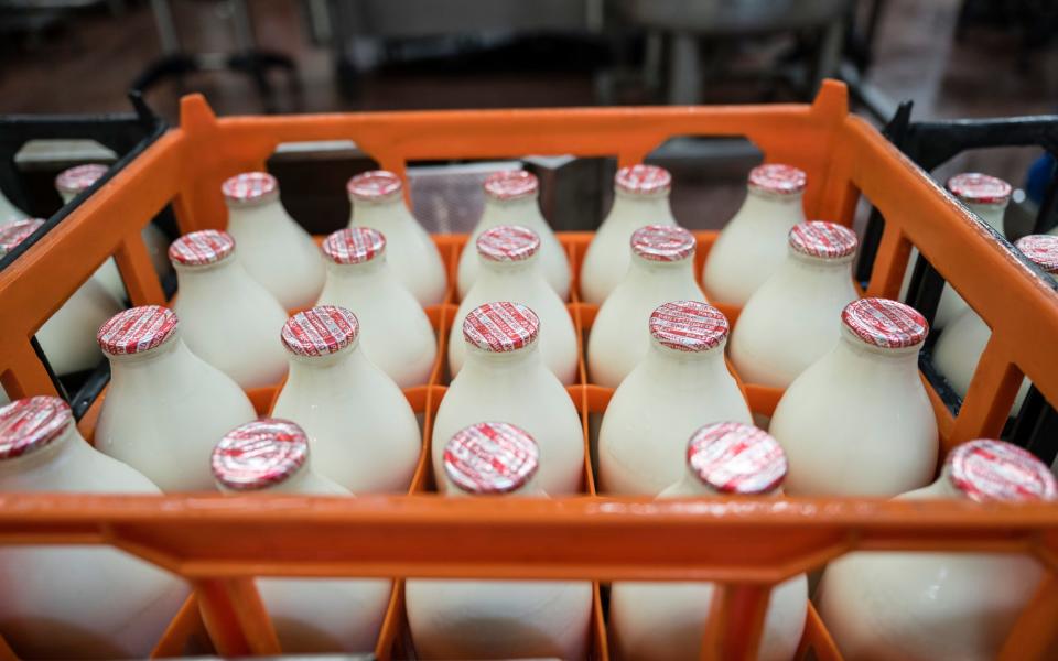 Milk bottles in a crate