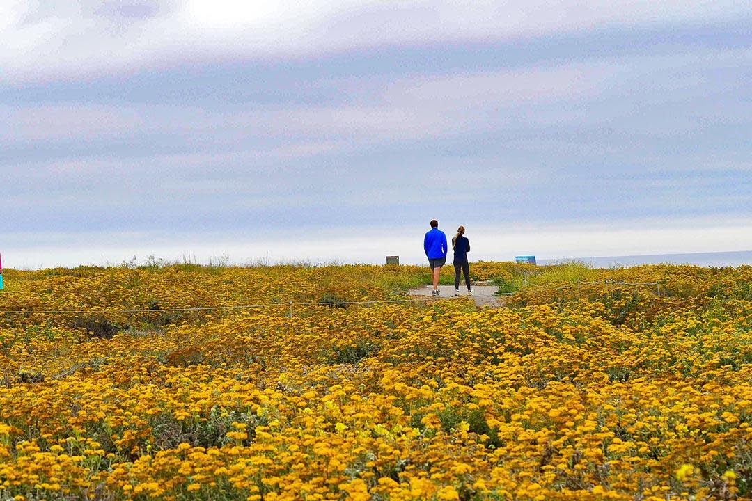 two people walking in montana del oro state park near San Luis Obispo