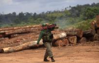 Agent Alex Lacerda of Brazil's Institute for the Environment and Renewable Natural Resources, or IBAMA, carries a sample of wood that he and a group of environmental police offers confiscated at an illegal sawmill during a sting operation against sawmills, log haulers and loggers who trade in illegally extracted wood from the Alto Guama River indigenous reserve in Nova Esperanca do Piriau, Para state, September 25, 2013. Picture taken September 25, 2013. To match Special Report BRAZIL-DEFOREST/ REUTERS/Ricardo Moraes (BRAZIL - Tags: ENVIRONMENT CRIME LAW POLITICS BUSINESS)