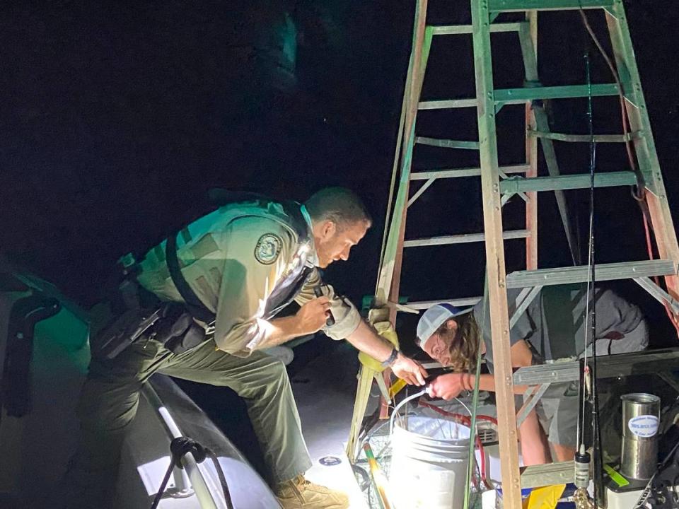 Florida Fish and Wildlife Conservation Commission Officer Joshua Stallings grabs a bucket from Reece Jahn Wednesday, July 28, 2021. Stallings was checking the size of the lobsters caught by Reece and his father Steve during the first day of lobster miniseason.