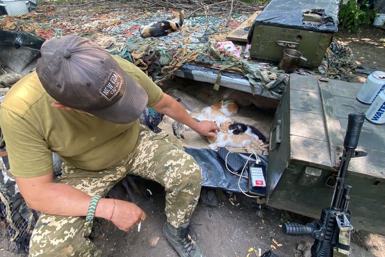 Los soldados cerca de la fronteras con Rusia