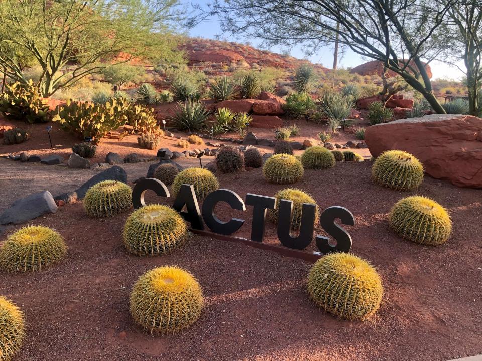 The Red Hills Desert Garden off of Red Hills Parkway in St. George features a display of water-wise cactus species among other desert landscape demonstrations.
