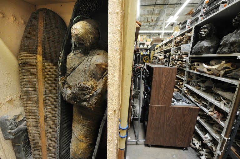 A mummy for rent at History for Hire prop house in North Hollywood, California, August 9, 2013. A ship's wheel here, a suitcase there -- Pam Elyea walks briskly through the aisles of her cavernous warehouse pointing at antiques she has rented out as props for Hollywood movies