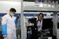 Researchers work at the Institute for Stem Cell and Regeneration of CAS in Beijing