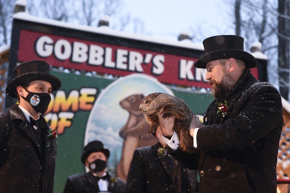 Groundhog Club handler A.J. Dereume holds Punxsutawney Phil, the weather prognosticating groundhog, during the 135th celebration of Groundhog Day on Gobbler's Knob in Punxsutawney, Pa., Tuesday, Feb. 2, 2021. Phil's handlers said that the groundhog has forecast six more weeks of winter weather during this year's event that was held without anyone in attendance due to potential COVID-19 risks. (AP Photo/Barry Reeger)