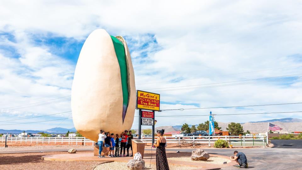 Take a Picture Next to a Massive Pistachio