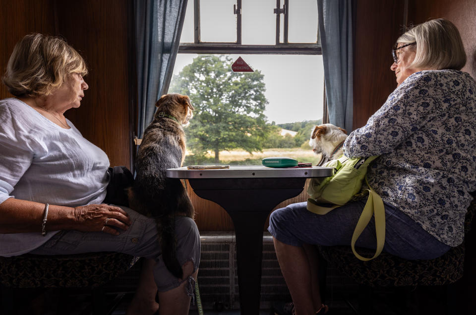 Photograph titled Looking by Alexander Swyer, winner of the My Railway Journey category in the Landscape Photographer of the Year 2023 competition