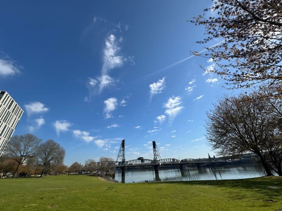 ‘Jellyfish’ clouds caught by KOIN 6 Meteorologist Josh Cozart on Tuesday, April 2, 2024.