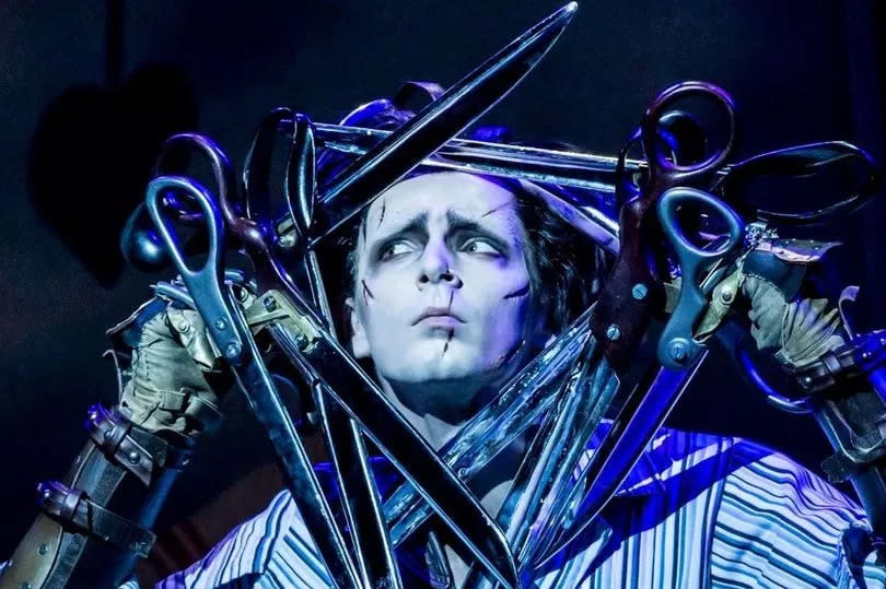 Liam Mower as Edward Scissorhands