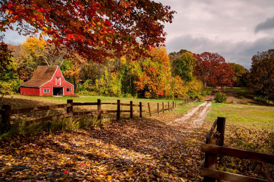 Nowhere does autumn like New England - getty
