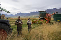 Farmer Hermann Gunnarsson and Ingibjorg Leifsdottir stand in their field as they gather their largest harvest of barley in thirty years in Eyja Fjord, northern Iceland Saturday, Sept. 18, 2021. (AP Photo/Egill Bjarnason)