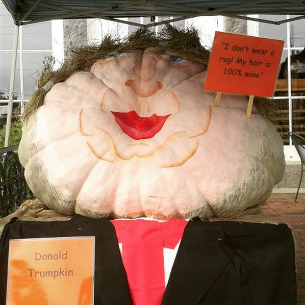 Ninth Place:  The tubby Trumpkin