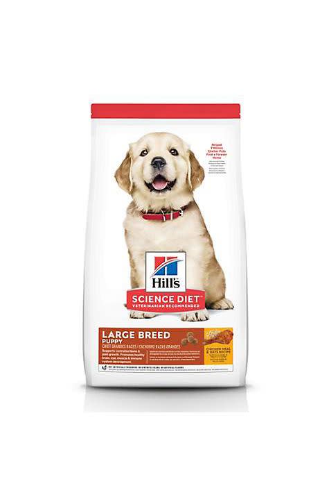 Dry Dog Food