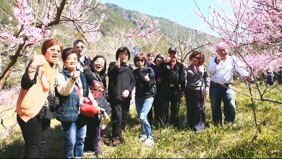 武陵農場遊客表示這裡的桃花不輸櫻花喔。（圖／東森新聞）