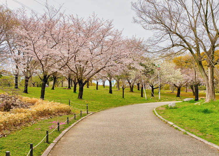 The large park was created in 1989 to give Sakai a Japanese garden with international appeal