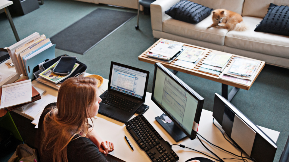 A woman works from her home office with a small dog sitting on a sofa near her.