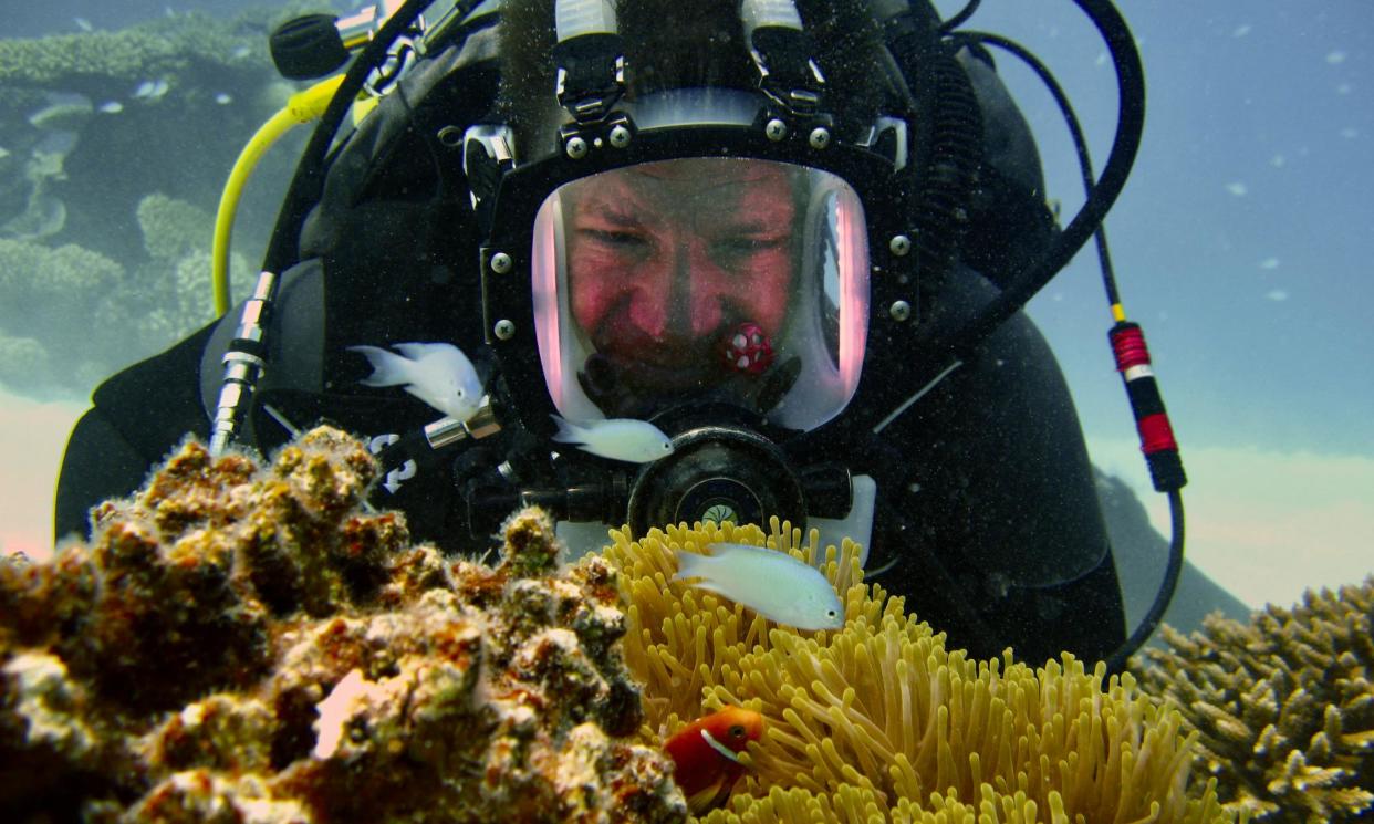 <span>Steve Backshall, the naturalist, scuba dives on the reefs of the Maldives for the BBC’s Our Changing Planet.</span><span>Photograph: Steve Simpson/BBC Studios</span>