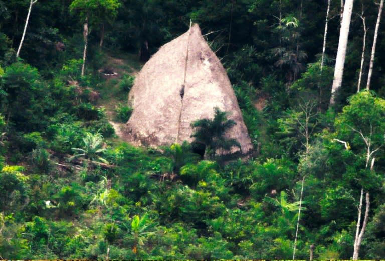 This handout drone picture taken in 2017 and released by Brazil's National Indian Foundation (FUNAI) on August 23, 2018 shows a thatched hut in the indigenous territory Vale do Javari in the Brazilian Amazon forest in Amazonas state
