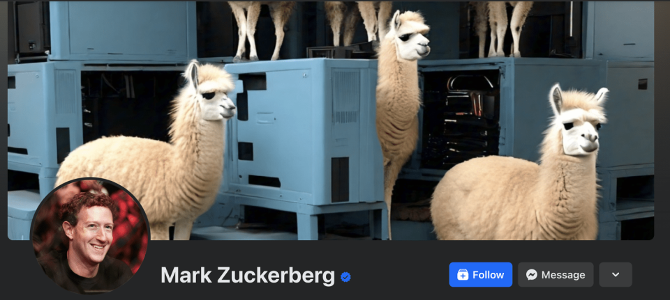 Image of Mark Zuckerberg llama header  (Facebook )