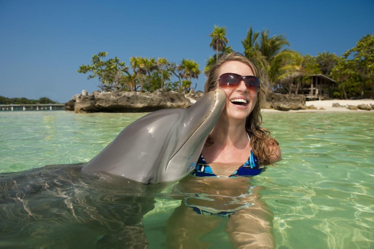 A dolphin kissing the cheek of an attractive mid-adult woman in turquoise water near a tropical island.