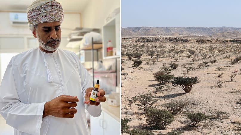 Amer Mohammed Alameri is the general director of Luban Dhofar, a frankincense distillation company in Salalah,