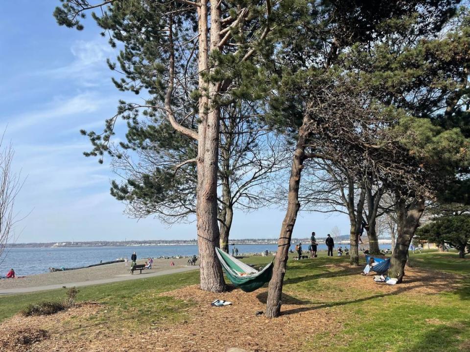 People enjoy the sunshine and bay views from hammocks Friday, March 17, 2023, at Boulevard Park on Bayview Drive in Bellingham, Wash.