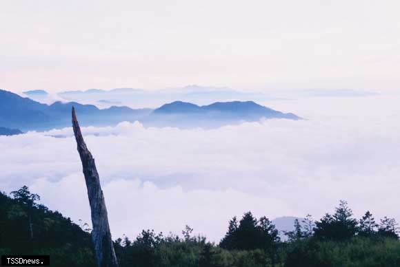 大雪山國家森林遊樂區雲海。（圖：林業保育署提供）