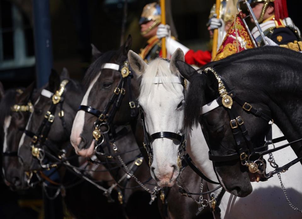 Members of the Household Cavalry in the courtyard of the Royal Mews, Buckingham Palace (Yui Mok/PA) (PA Wire)