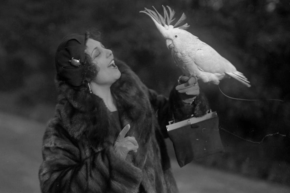 1931: Singing with a Cockatoo: Spanish opera star Conchita Supervia (1895 - 1936) serenades Joey the cockatoo (Fox Photos/Getty Images)