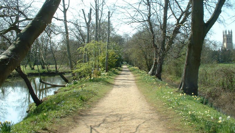 Addison’s Walk, near Magdalen College, Oxford, looking back toward the college.