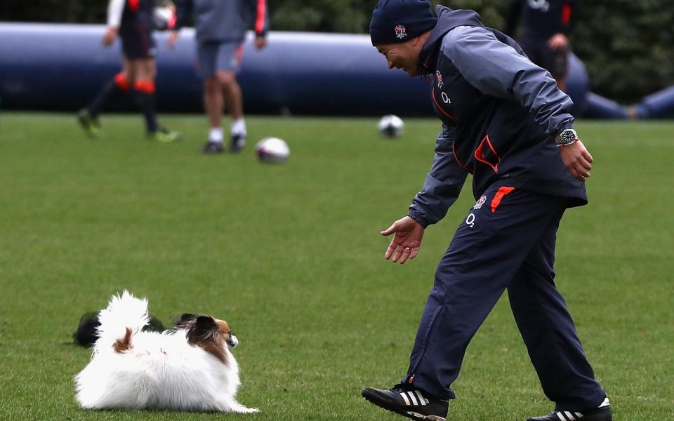 Eddie Jones with his dog, Annie, at England training - Getty Images