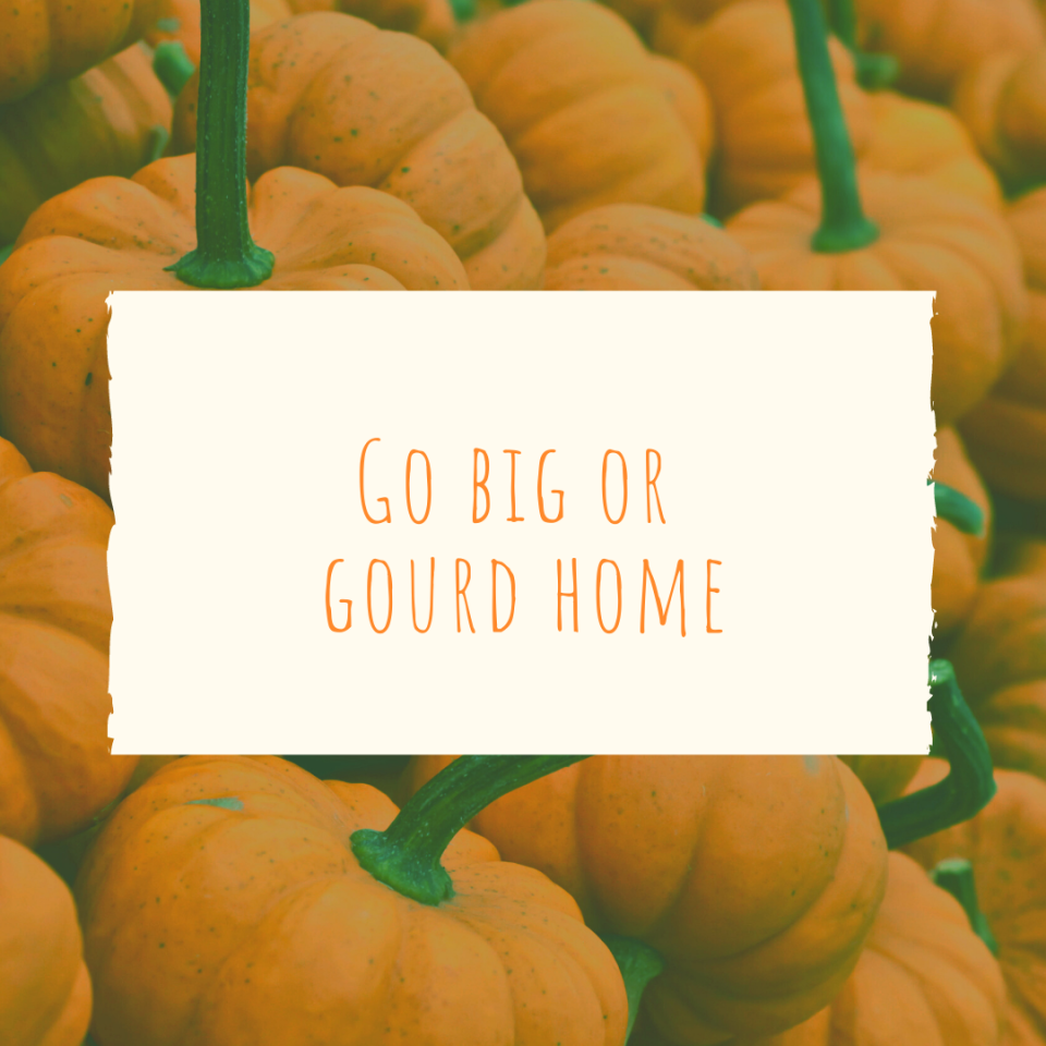 Go big or gourd home | Pumpkin Patch Caption