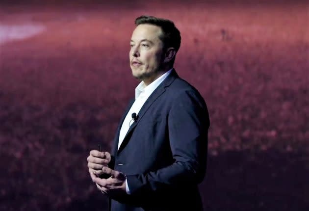 Elon Musk in Guadalajara