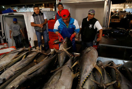 FILE PHOTO: A worker checks the quality of Mexican tuna displayed at a fish market in Mexico City, Mexico May 18, 2017. REUTERS/Henry Romero/File Photo