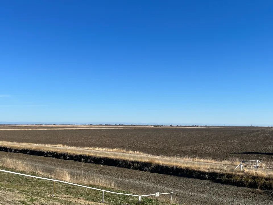 A fallow rice field near Dunnigan, California in 2022. Sean Doherty of Sean Doherty Farms was only able to plant four of his 20 rice fields in 2022 due to drought conditions.