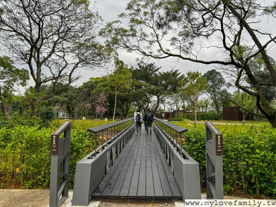 桃園大湳森林公園