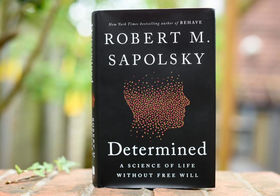 A book by Robert M. Sapolsky, titled "Determined," with a black background and the illustration of a side profile of a head